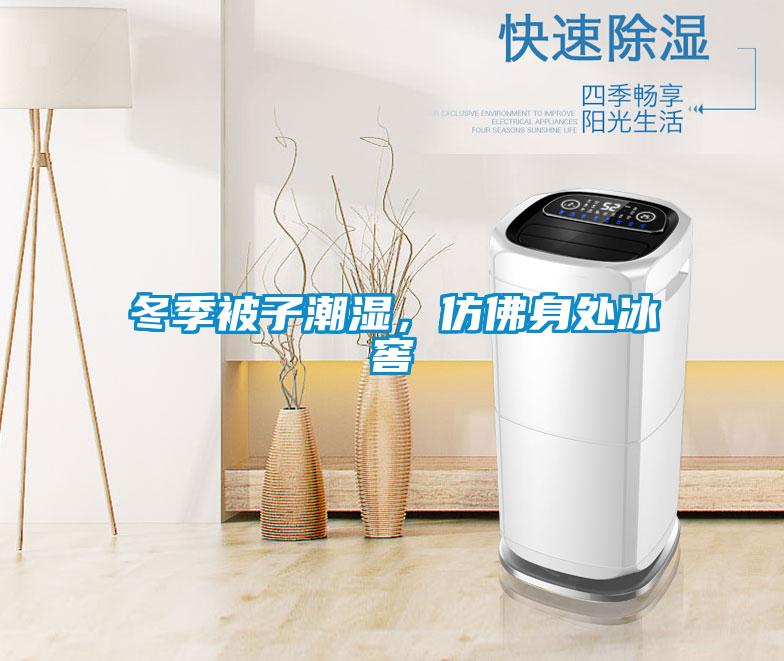 冬季被子潮濕，仿佛身處冰窖