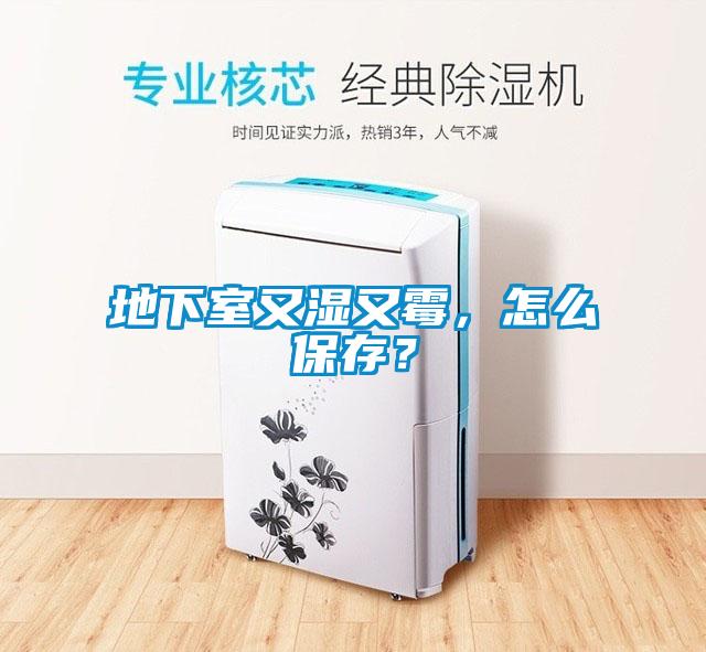 地下室又濕又霉，怎么保存？