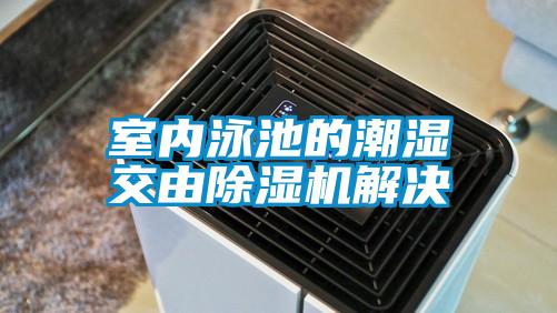 室內泳池的潮濕交由除濕機解決