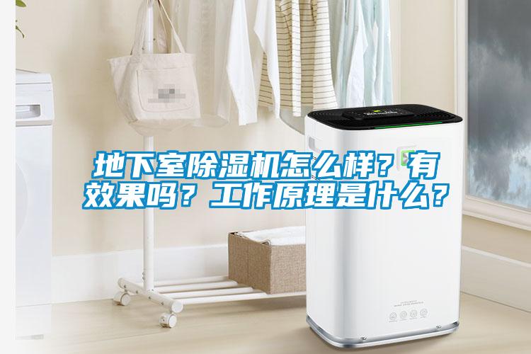 地下室除濕機(jī)怎么樣？有效果嗎？工作原理是什么？