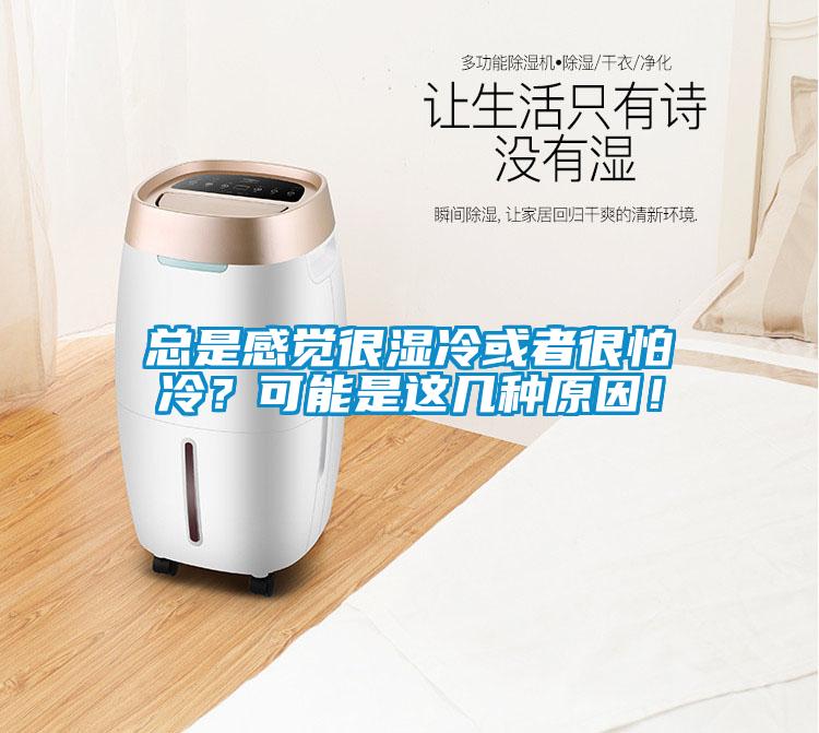 總是感覺很濕冷或者很怕冷？可能是這幾種原因！
