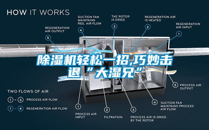 除濕機輕松一招,巧妙擊退“大濕兄”