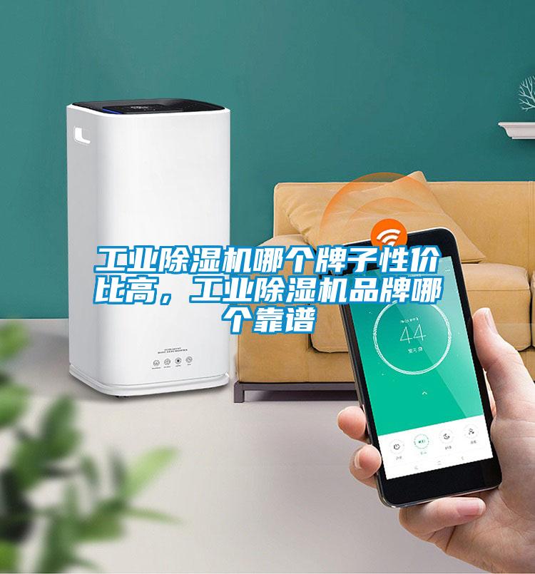 工業除濕機哪個牌子性價比高，工業除濕機品牌哪個靠譜