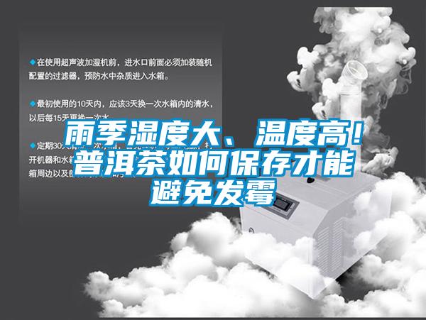 雨季濕度大、溫度高！普洱茶如何保存才能避免發霉