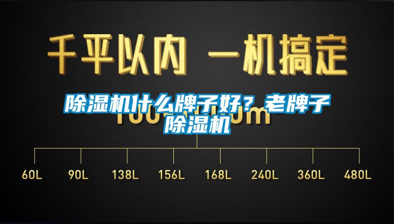 除濕機什么牌子好？老牌子除濕機