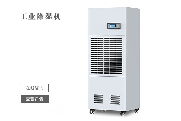 舞獅慶新春，開門滿堂紅