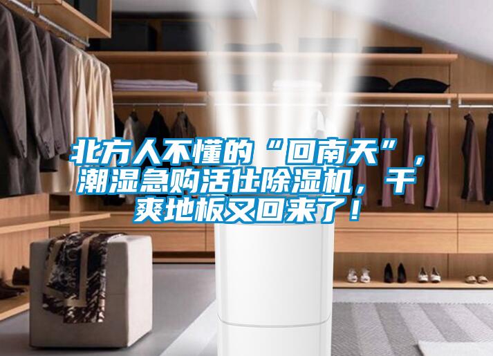 北方人不懂的“回南天”，潮濕急購活仕除濕機，干爽地板又回來了！