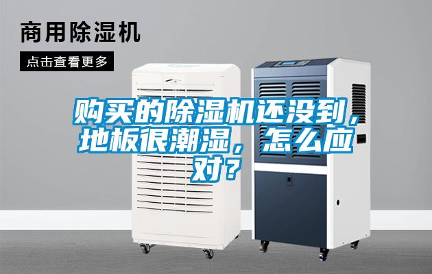 購買的除濕機(jī)還沒到，地板很潮濕，怎么應(yīng)對(duì)？
