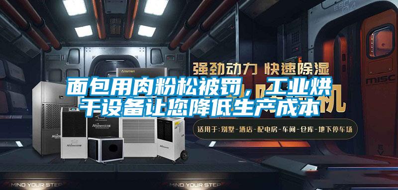 面包用肉粉松被罰，工業(yè)烘干設(shè)備讓您降低生產(chǎn)成本