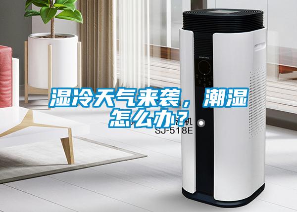 濕冷天氣來襲，潮濕怎么辦？