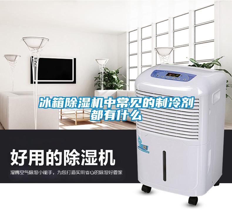 冰箱除濕機中常見的制冷劑都有什么