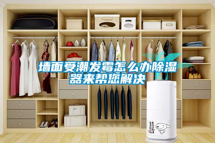 墻面受潮發(fā)霉怎么辦除濕器來(lái)幫您解決