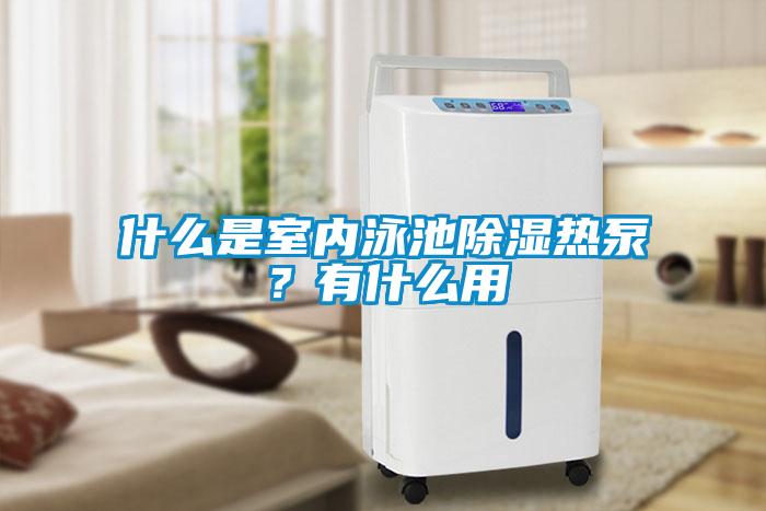 什么是室內泳池除濕熱泵？有什么用