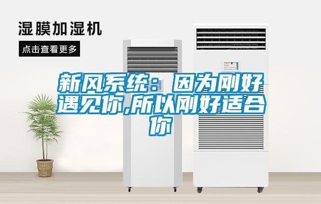 新風(fēng)系統(tǒng)：因為剛好遇見你,所以剛好適合你