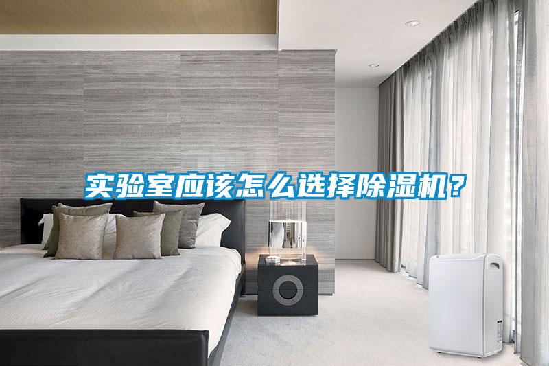 實驗室應(yīng)該怎么選擇除濕機？