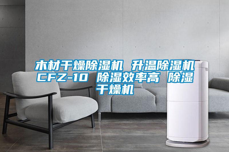 木材干燥除濕機 升溫除濕機CFZ-10 除濕效率高 除濕干燥機