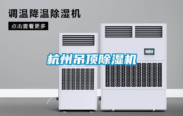 杭州吊頂除濕機