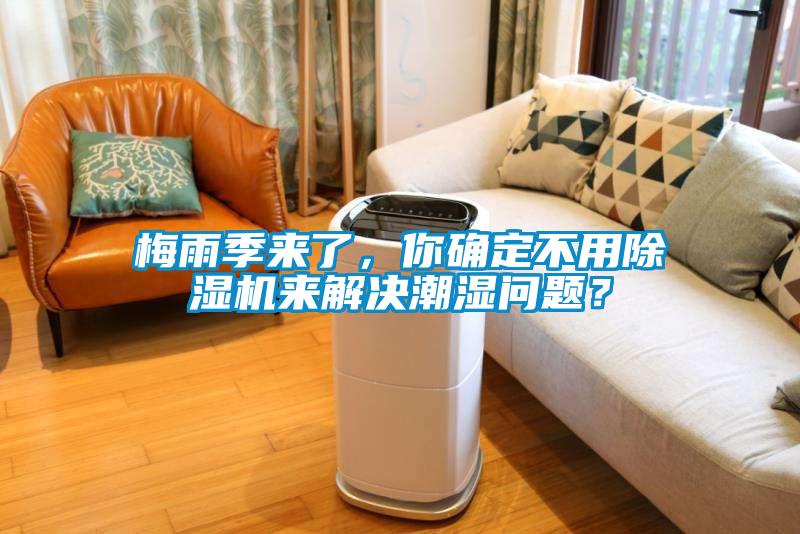 梅雨季來了，你確定不用除濕機來解決潮濕問題？