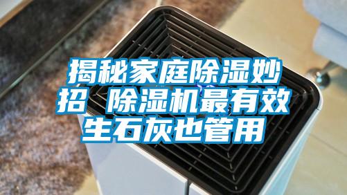 揭秘家庭除濕妙招 除濕機最有效生石灰也管用