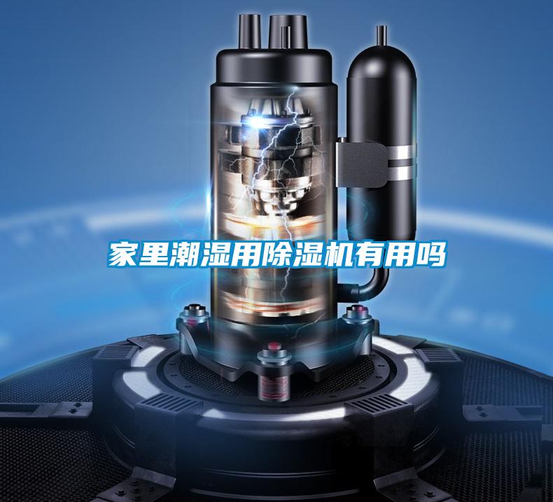 家里潮濕用除濕機有用嗎