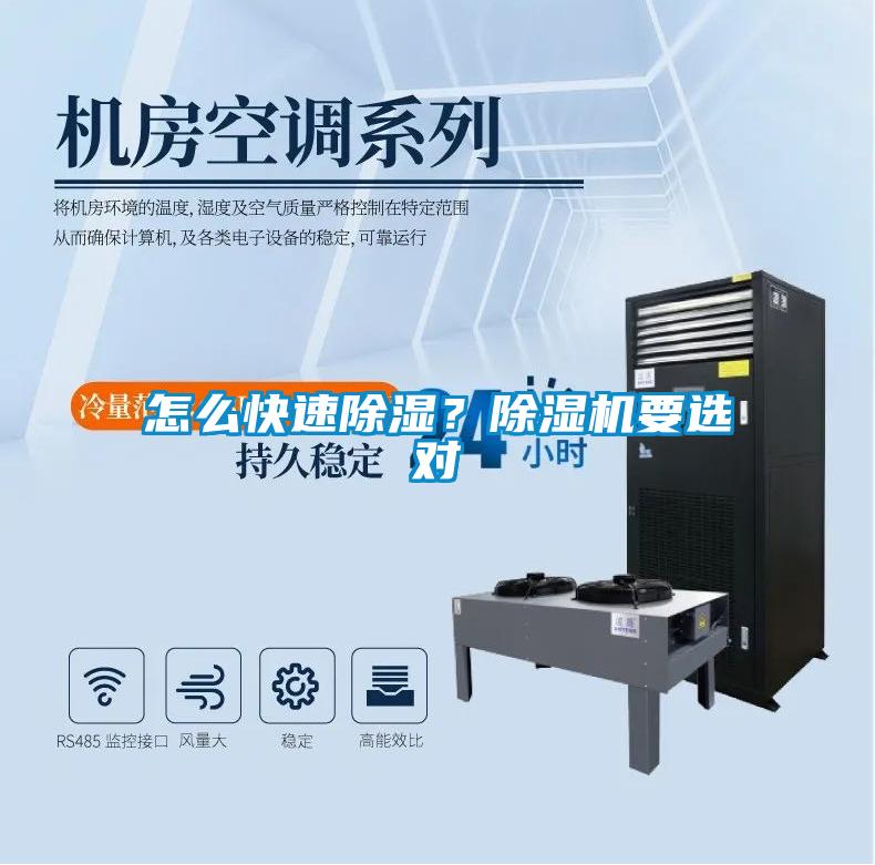 怎么快速除濕？除濕機要選對