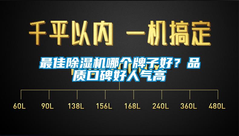 最佳除濕機哪個牌子好？品質口碑好人氣高