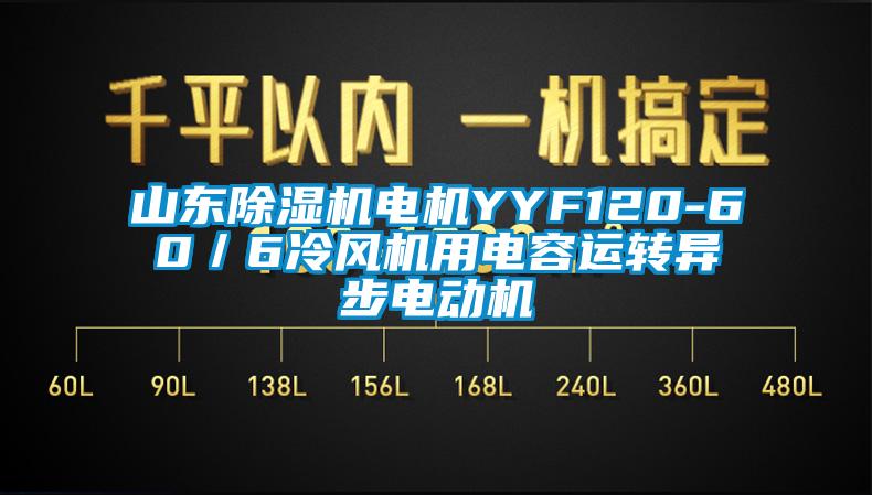 山東除濕機電機YYF120-60／6冷風機用電容運轉異步電動機