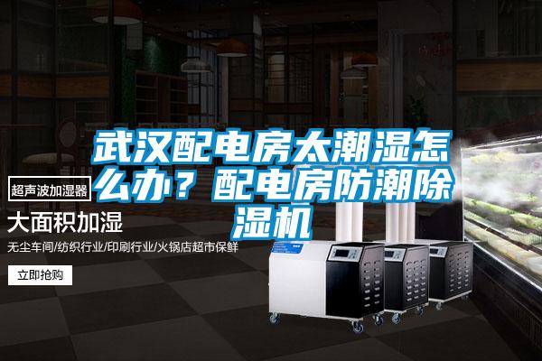 武漢配電房太潮濕怎么辦？配電房防潮除濕機(jī)