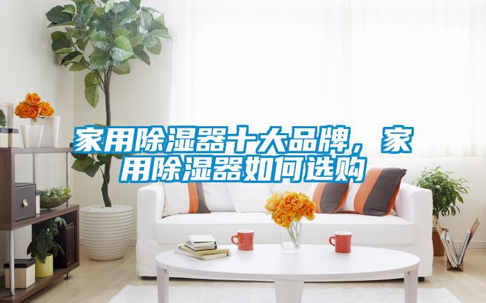 家用除濕器十大品牌，家用除濕器如何選購