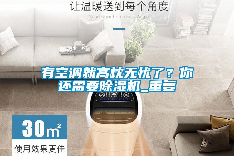 有空調(diào)就高枕無(wú)憂了？你還需要除濕機(jī)_重復(fù)