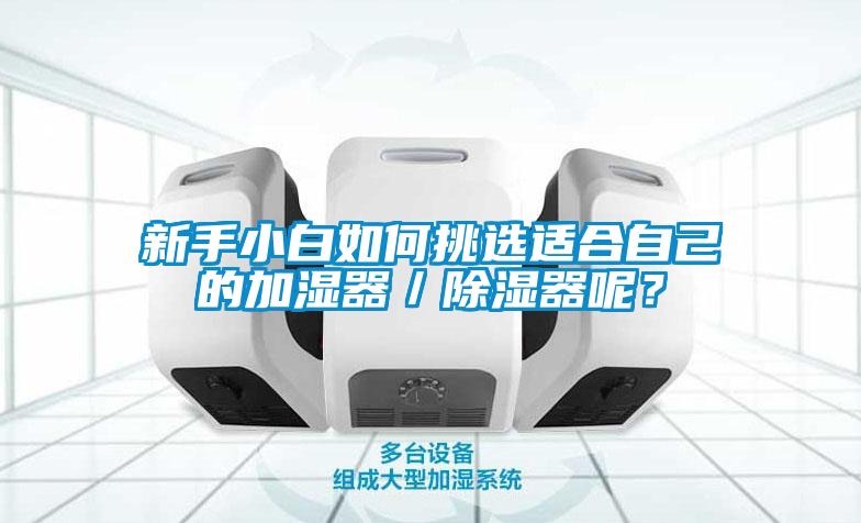 新手小白如何挑選適合自己的加濕器／除濕器呢？