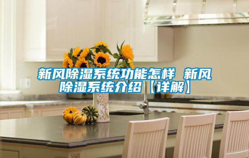 新風除濕系統功能怎樣 新風除濕系統介紹【詳解】