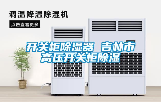 開關柜除濕器 吉林市高壓開關柜除濕