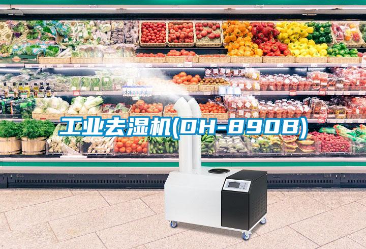 工業去濕機(DH-890B)