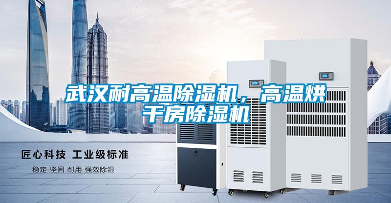 武漢耐高溫除濕機(jī)，高溫烘干房除濕機(jī)
