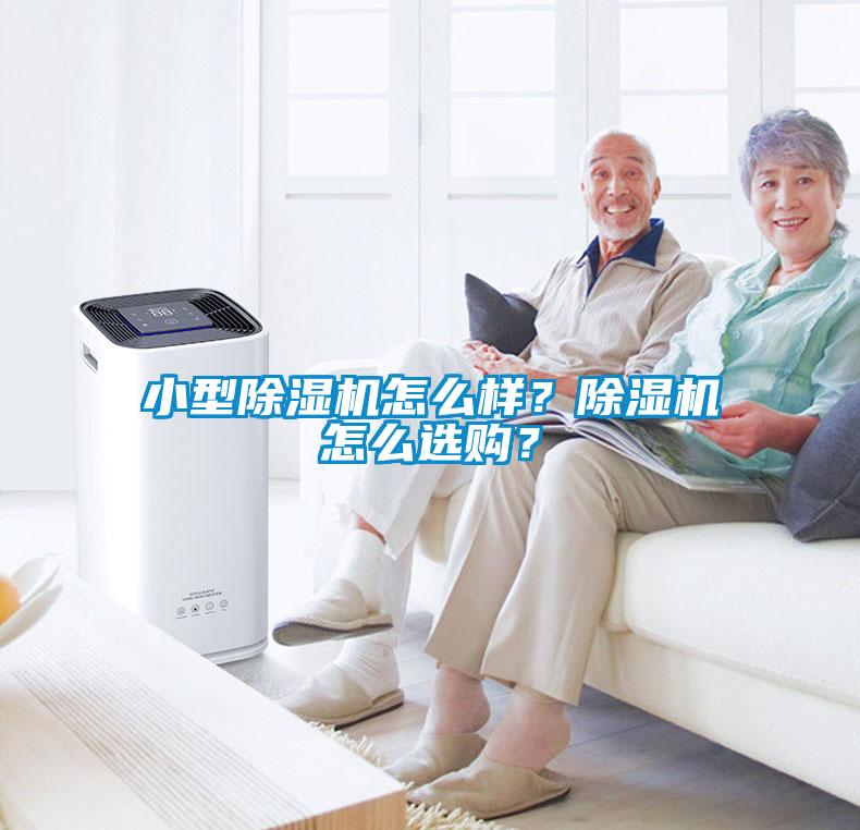 小型除濕機(jī)怎么樣？除濕機(jī)怎么選購？