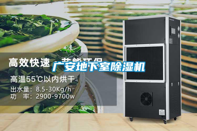廣安地下室除濕機