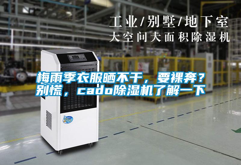 梅雨季衣服曬不干，要裸奔？別慌，cado除濕機了解一下