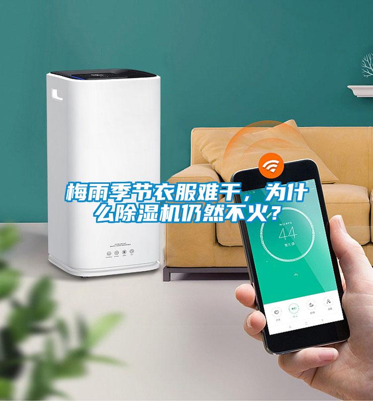 梅雨季節衣服難干，為什么除濕機仍然不火？