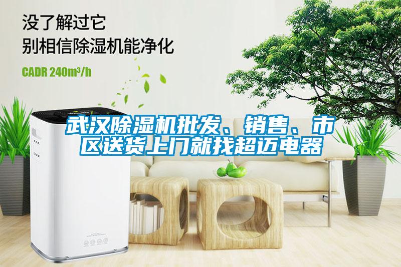 武漢除濕機(jī)批發(fā)、銷售、市區(qū)送貨上門就找超邁電器