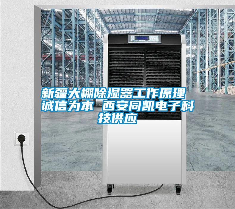 新疆大棚除濕器工作原理 誠信為本 西安同凱電子科技供應