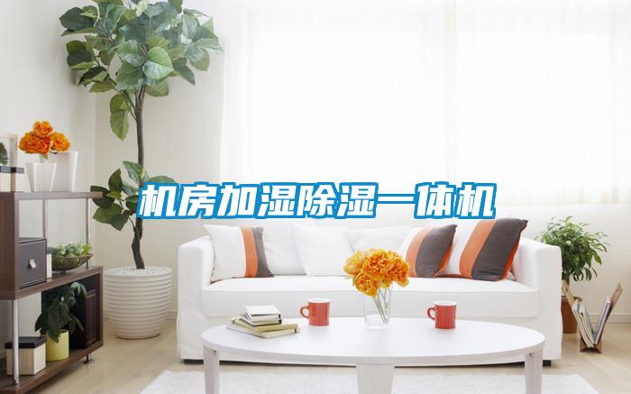 機房加濕除濕一體機