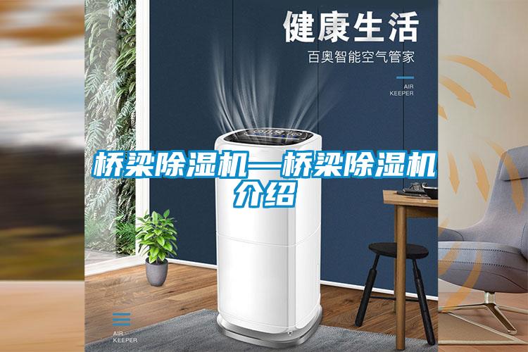 橋梁除濕機—橋梁除濕機介紹