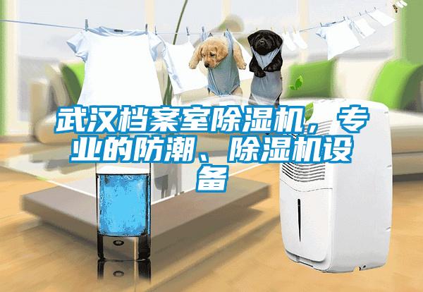 武漢檔案室除濕機(jī)，專業(yè)的防潮、除濕機(jī)設(shè)備