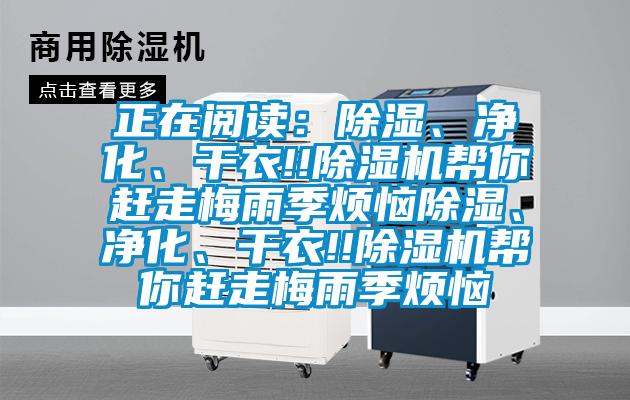正在閱讀：除濕、凈化、干衣!!除濕機幫你趕走梅雨季煩惱除濕、凈化、干衣!!除濕機幫你趕走梅雨季煩惱