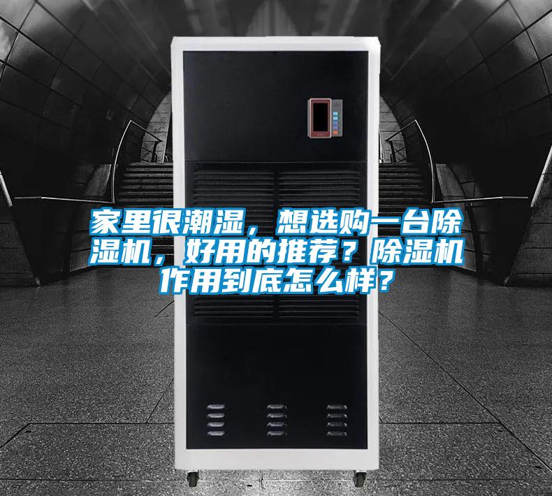 家里很潮濕，想選購一臺除濕機(jī)，好用的推薦？除濕機(jī)作用到底怎么樣？