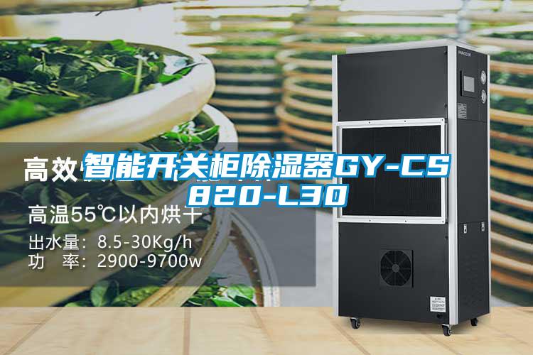 智能開(kāi)關(guān)柜除濕器GY-CS820-L30