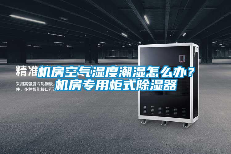 機房空氣濕度潮濕怎么辦？機房專用柜式除濕器