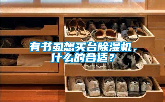 有書虱想買臺除濕機，什么的合適？