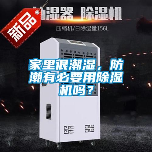 家里很潮濕，防潮有必要用除濕機(jī)嗎？
